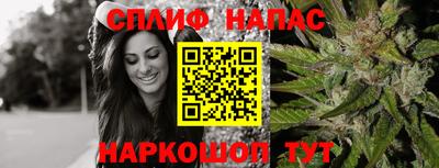a pvp Пугачёв